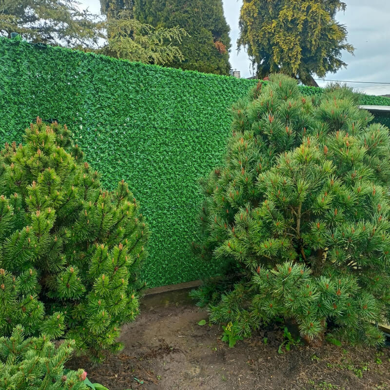 Neprůhledné pletivo zelené umístěné okolo domku