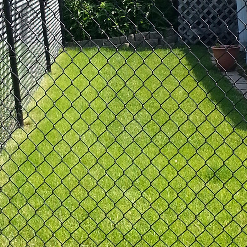Pletivový plot umístěný na zahrádce před domem