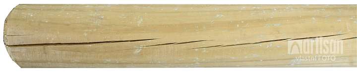 src_Dřevěné kůly borovice se špicí, průměr 60mm,délka 1500mm, tlakově impregnované zeleně (5)_VZ.jpg