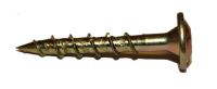 Vruty RAPI-TEC SK 6x40mm talířová hlava TX30 galvanický zinek