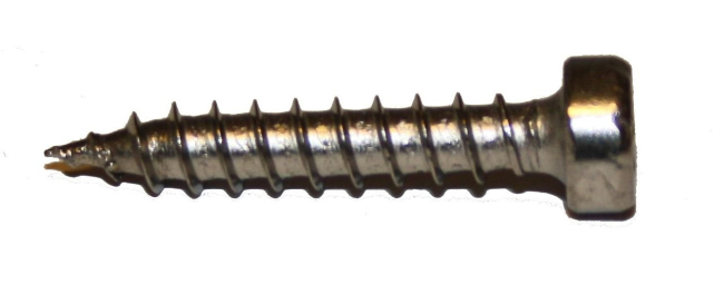 Vruty pro kluzáky 4,2x24mm TX20 nerez A4