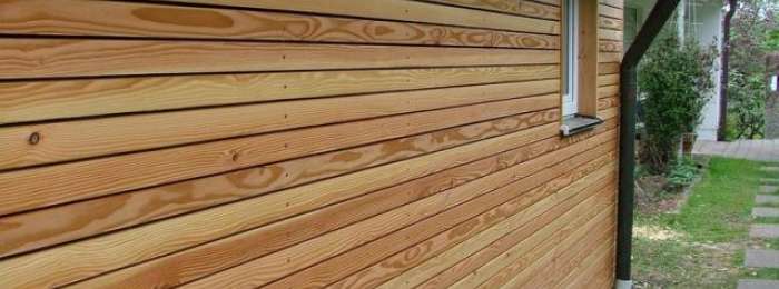 Jak na dřevěné obložení